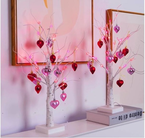 Albero betulla illuminato - albero,