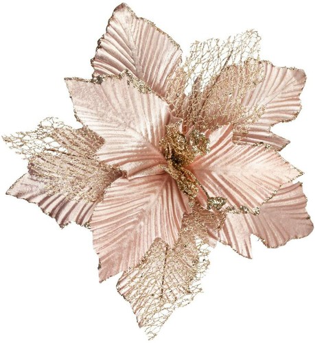 Fiore natale rosa - fiore,